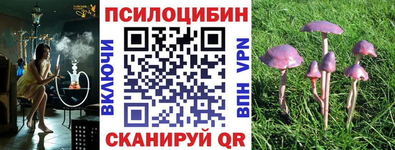 Псилоцибиновые грибы Psilocybe Новосиль