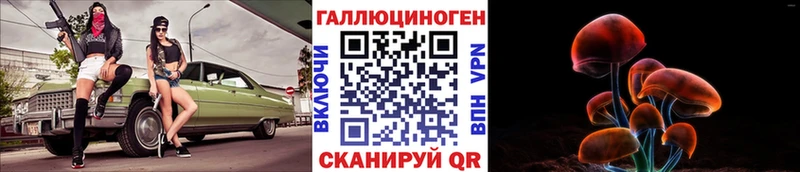 OMG маркетплейс  Новосиль  Псилоцибиновые грибы мицелий 